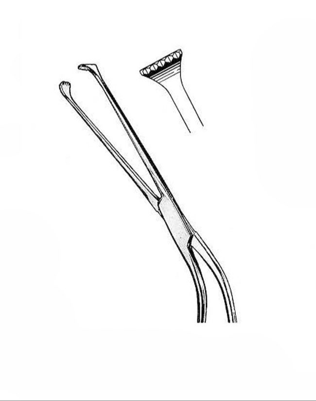 Millin Prostectomy Forceps – Image 3