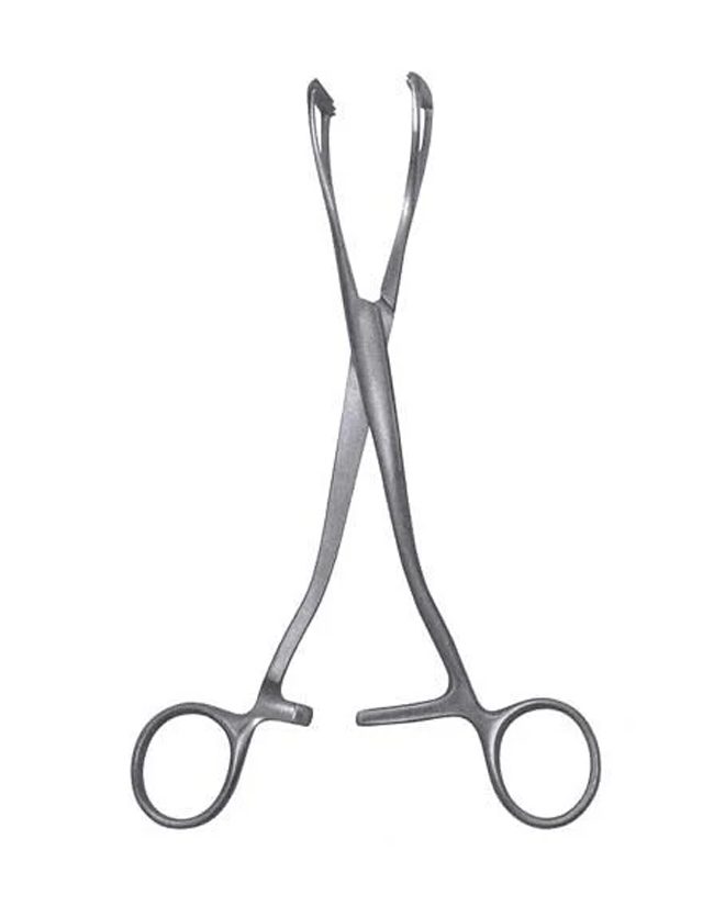 Young Lithotomy Forceps