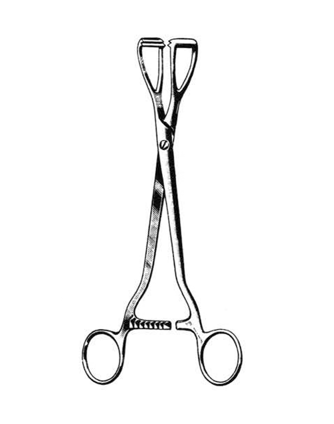 Young Lithotomy Forceps